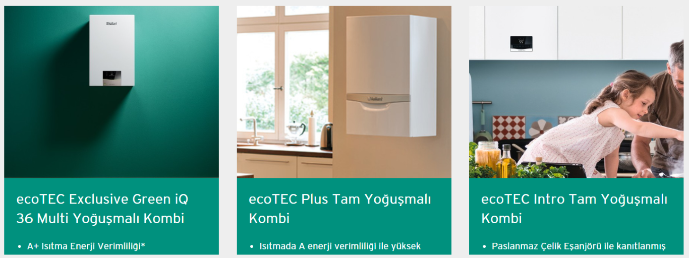 Vaillant ecoTEC Exclusive, Plus ve Intro kombi modelleri